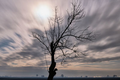 Silhouette bare tree against sky during sunset