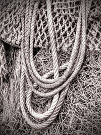 Macro shot of a spider web