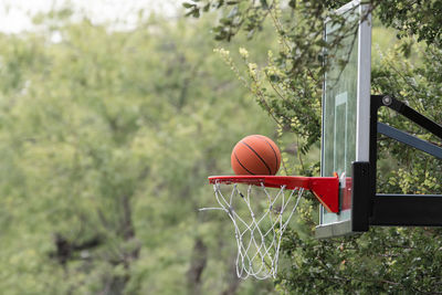 Basketball hoop against trees