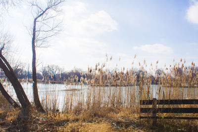 Scenic view of lake against sky