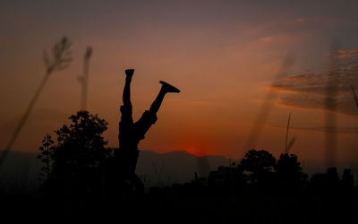 Silhouette man by plants against sky during sunset
