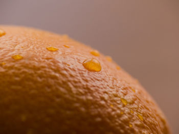 Close-up of orange over white background