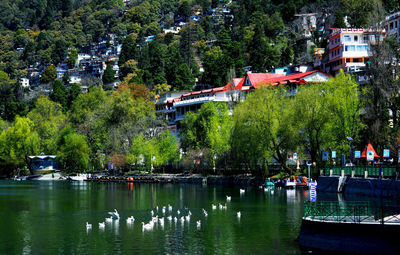 Scenic view of lake