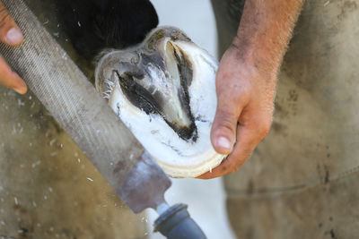 Close-up of man preparing food