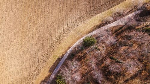 Full frame shot of agricultural field