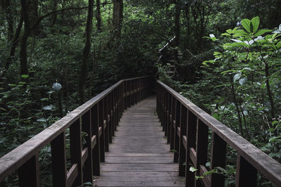 Footbridge amidst trees in forest