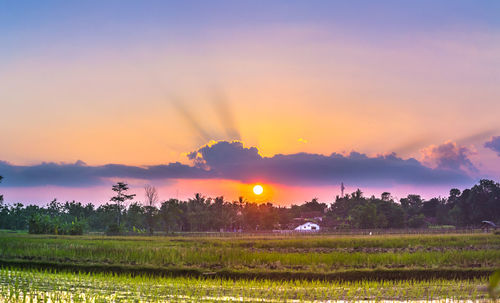 Scenic view of field against sky during sunset