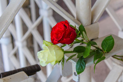 Close-up of rose bouquet