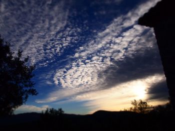 Low angle view of silhouette trees against sky during sunset