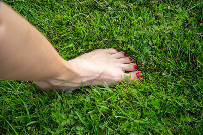 Low section of person on grassy field