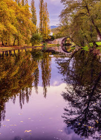 Reflection of trees on lake during autumn