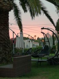 Palm trees with buildings in background