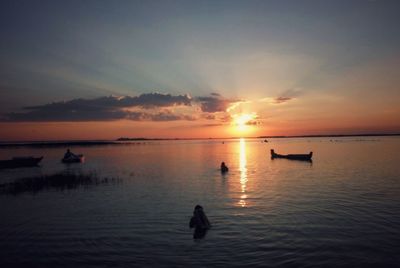 Silhouette birds on lake against sky during sunset