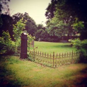 View of cemetery against trees