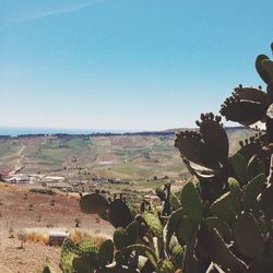 Scenic view of landscape against clear blue sky