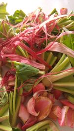 Close-up of fresh vegetables