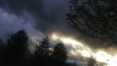 Low angle view of silhouette trees against dramatic sky