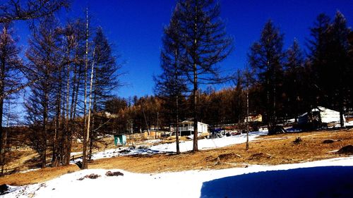 Scenic view of snow covered landscape