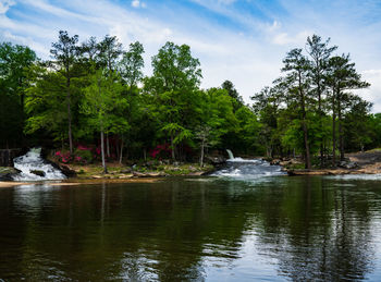 Scenic view of river amidst trees in forest against sky