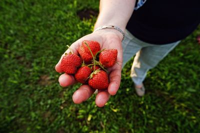 Midsection of woman holding strawberries