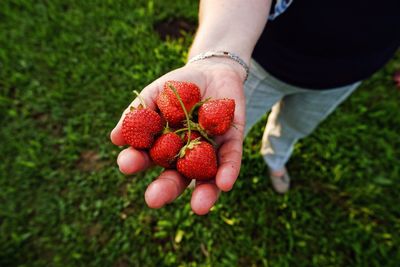 Midsection of man holding strawberries