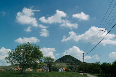 Trees on landscape against sky