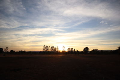 Silhouette trees on field against sky during sunset