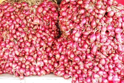 Full frame shot of pink for sale in market