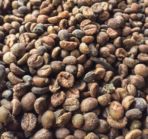 Full frame shot of coffee beans