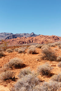 Scenic view of desert against clear blue sky