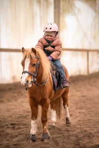 Horse standing on field