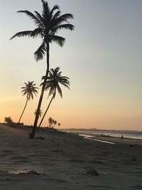 Silhouette palm trees on beach against sky during sunset