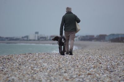 Rear view of man with dog on beach