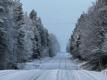 winter