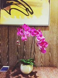 Close-up of pink flowers in vase on table