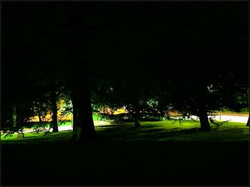 Silhouette trees on landscape at night