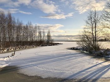 Bare trees on snow covered field against sky