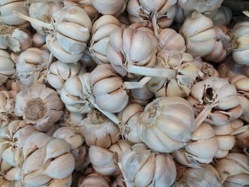 Full frame shot of onions for sale at market
