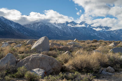 Scenic view of landscape against sky