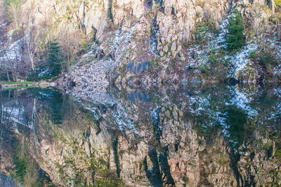 Trees and rocks in water