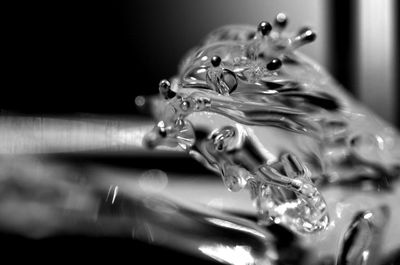 Close up of water drops on flower