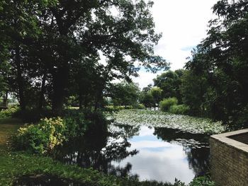 Reflection of trees in lake against sky