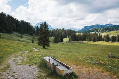 Scenic view of field against sky
