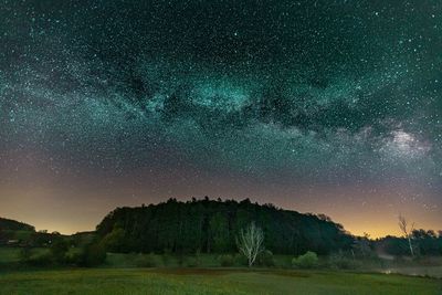 Scenic view of trees against sky at night