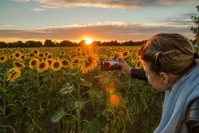 Woman photographing sunflowers with smart phone on field against sky during sunset