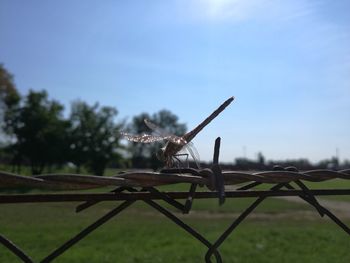 Windmill on grass against sky