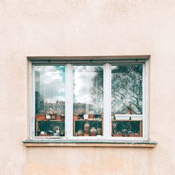 Glass window of building with plants 