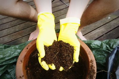 Low section of man putting soil in pot