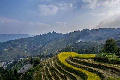 Scenic view of agricultural field and mountains against sky