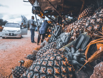 Close-up of crab for sale at market